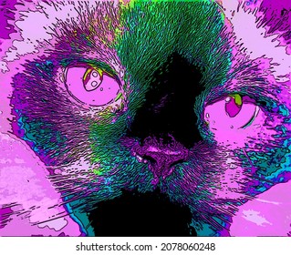 Himalayan is breed sub  breed long  haired cat sign illustration pop  art background icon and color spots