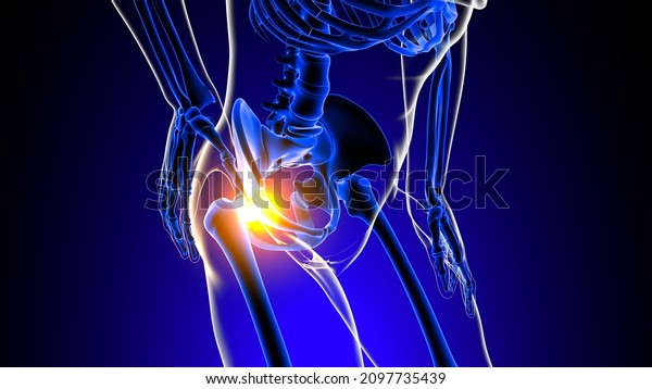 8,132 Anatomy Sacrum Images, Stock Photos & Vectors | Shutterstock