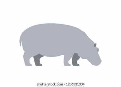 Hippo Isolated On White Background Stock Illustration 1286331334 ...