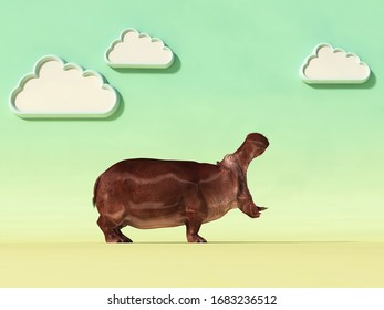 Hippopotamus On A Conceptual Studio Background With Clouds . This Is A 3d Render Illustration . 
