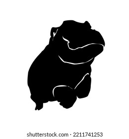 Hippopotamus Silhouette Animal Black Shadow