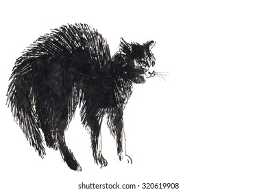 Hissing Cat Black White Illustration Animal Stock Illustration 