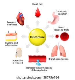 Histamine Action. Immune Responses