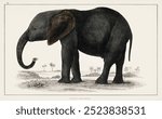 The History of the Earth and Animated Nature (1848) by Oliver Goldsmith (1728-1774), a portrait of a dark grey elephant. Vintage art elephant drawing illustration, old elephant painting art print.