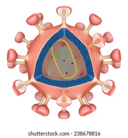 HIV Virus