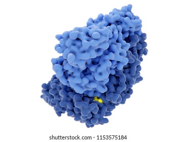 Reverse Transcriptase Images Stock Photos Vectors Shutterstock