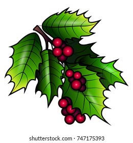 Holly Illustration Outline Colorful Branch Holly Stock Illustration ...