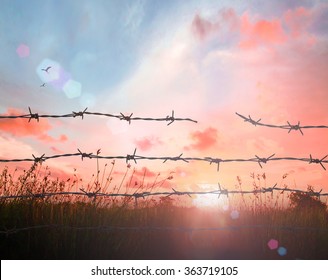 Holocaust Memorial Day Concept: Art Of Sun Light With Silhouette Broken Boundary Barbed Wire On Meadow Sunset Background