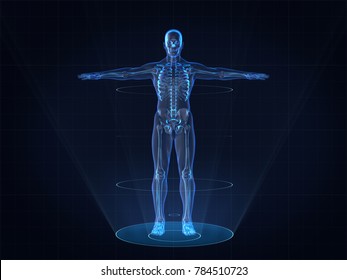 Hologram Human Anatomy And Skeleton,3D Rendering 