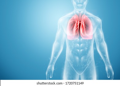 Hologram Of Inflamed Lungs In The Human Body. The Concept Of Lung Disease, Pneumonia, Covid-19 Pandemic, Coronavirus. 3D Rendering, 3D Illustration