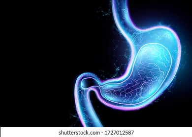 Hologram Of The Stomach, Endoscopy Procedure. Digestive Tract And Stomach Disease Concept. 3D Rendering, 3D Illustration