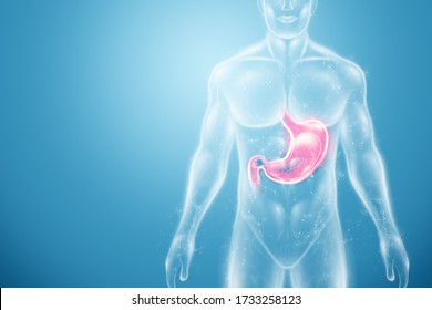 Hologram Of The Stomach, Endoscopy Procedure. Digestive Tract And Stomach Disease Concept. 3D Rendering, 3D Illustration