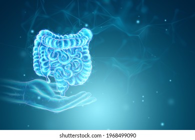 A holographic projection of a scan of the intestine on a blue background. Concept of new technologies, bowel disorder, body scan, digital x-ray, modern medicine. 3D illustration, 3D render