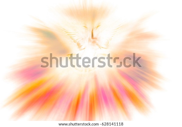 Holy Spirit Pentecost Confirmation Symbol Dove Stock Illustration 628141118 Shutterstock 0242