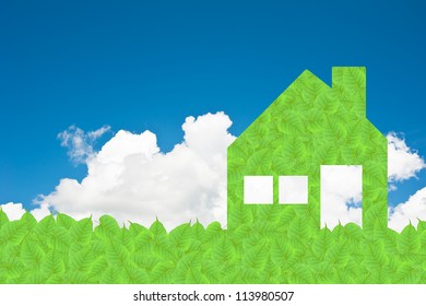 Home of green leaf texture and  background