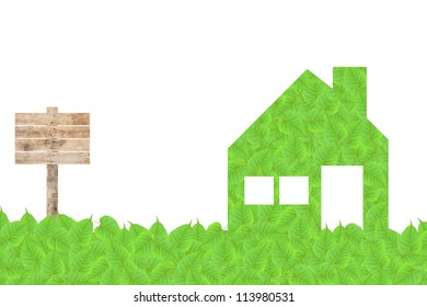 Home of green leaf texture and  background