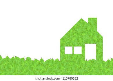 Home of green leaf texture and  background