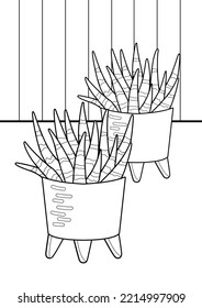 Home Plant Aloe Vera Coloring Pages A4 for Kids   Adult