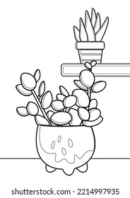 Home Plant Peperomia Coloring Pages A4 for Kids   Adult