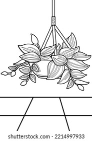 Home Plant Pothos Coloring Pages A4 for Kids   Adult