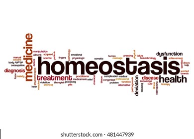 Homeostasis word cloud concept