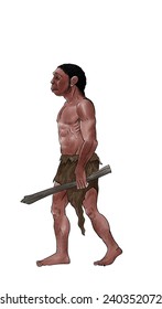 Homo Erectus