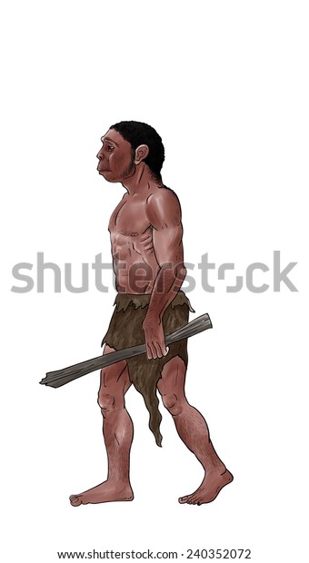 Homo Erectus Stock Illustration 240352072