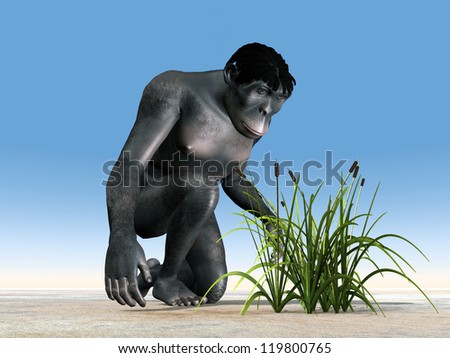 Homo Habilis - Human Evolution Computer generated 3D illustration