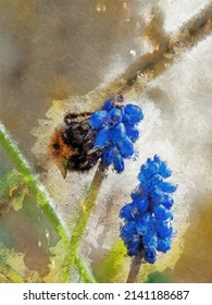 Honey bee on Grape hyacinths￼ flower digital ink pen and pallet knife oil painting for canvas prints