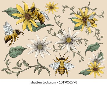 Honey bees and flowers elements, retro hand drawn etching shading style design, colorful tone