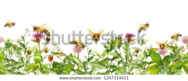牧草地の花に蜂蜜 夏の草 シームレスな花柄の横の縁 水彩 のイラスト素材