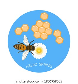 蜂 の画像 写真素材 ベクター画像 Shutterstock