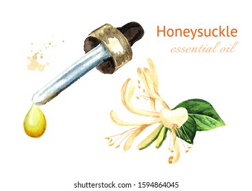 Honeysuckle Flower  Essential Oil Drop. Watercolor Hand Drawn Illustration, Isolated On White Background