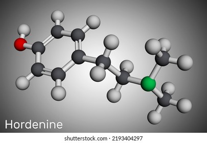 Hordenine, Dimethyltyramine Class, Molecule. It Is Phenethylamine Alkaloid, Natural Product. Molecular Model. 3D Rendering. Illustration