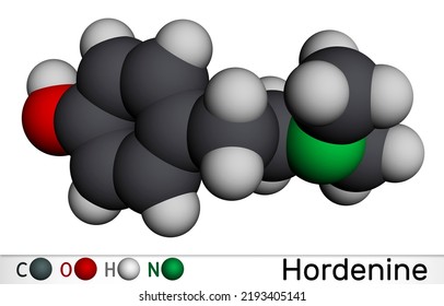 Hordenine, Dimethyltyramine Class, Molecule. It Is Phenethylamine Alkaloid, Natural Product. Molecular Model. 3D Rendering. Illustration