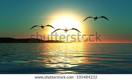 Similar – Image, Stock Photo Florida birds Sunset Beach