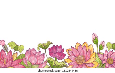 Horizontal banner or floral background decorated with bright colored blooming lotus flowers and leaves at bottom edge. Hand drawn botanical illustration for decorative natural backdrop.