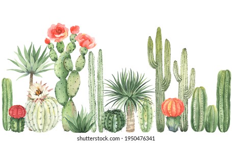 Horizontal border with colorful blooming cacti, watercolor wallpaper isolated on white background. Greenery landscape in mexican style, floral garden.