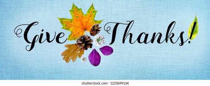 Horizontal Facebook Cover For Happy Thanksgiving Site, Collage Of Handwritten Font And Carved Autumn Leaves, Cones, Flowers And Petals, Flat Top View, On Blue Background.