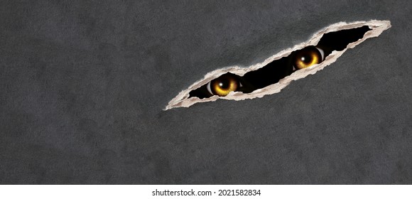 Horizontal Halloween background. A look from darkness. Yellow eye of the monster looks through the hole in paper. Mock up template.  Copy space for text