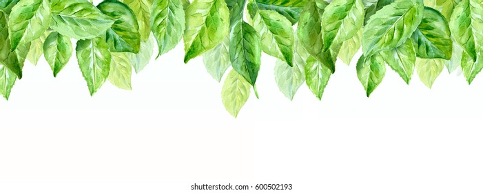 Horizontal Illustration of spring leaves. watercolor composition.