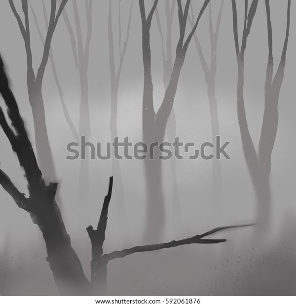 The branches are covered with fog Digital Picture Image JPG