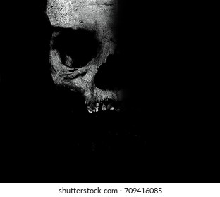 Horror Skull  Halloween
