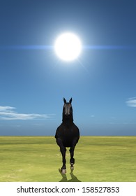 horse