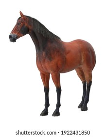 Horse 3D illustration on white background