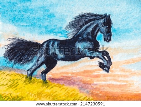 Horse. Black horse standing on two legs. Equestrian school. Farm animals. Watercolor painting. Acrylic drawing art. A piece of art. 