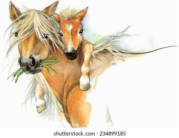 Horse And Funny Foal. Watercolor