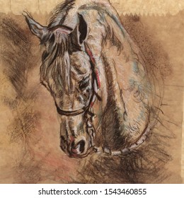 Horse head animal drawing charcoal brown paper bag illustration