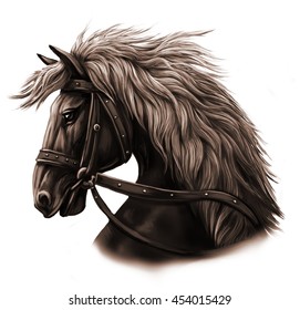 Horse Head. Graphic Illustration In Sepia