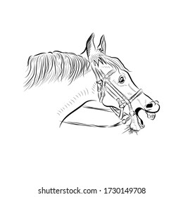 9,542 Funny horse sketch Images, Stock Photos & Vectors | Shutterstock